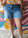 CURVY/REG Judy Blue Summer Breeze Shorts